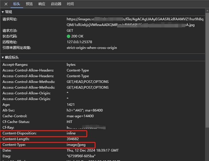 image-20241213024322470